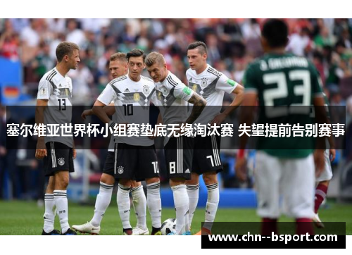 塞尔维亚世界杯小组赛垫底无缘淘汰赛 失望提前告别赛事
